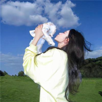 布兰丁斯城堡第二季